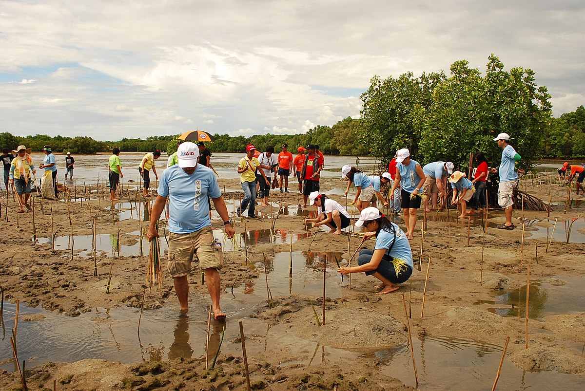 how to prepare for climate change